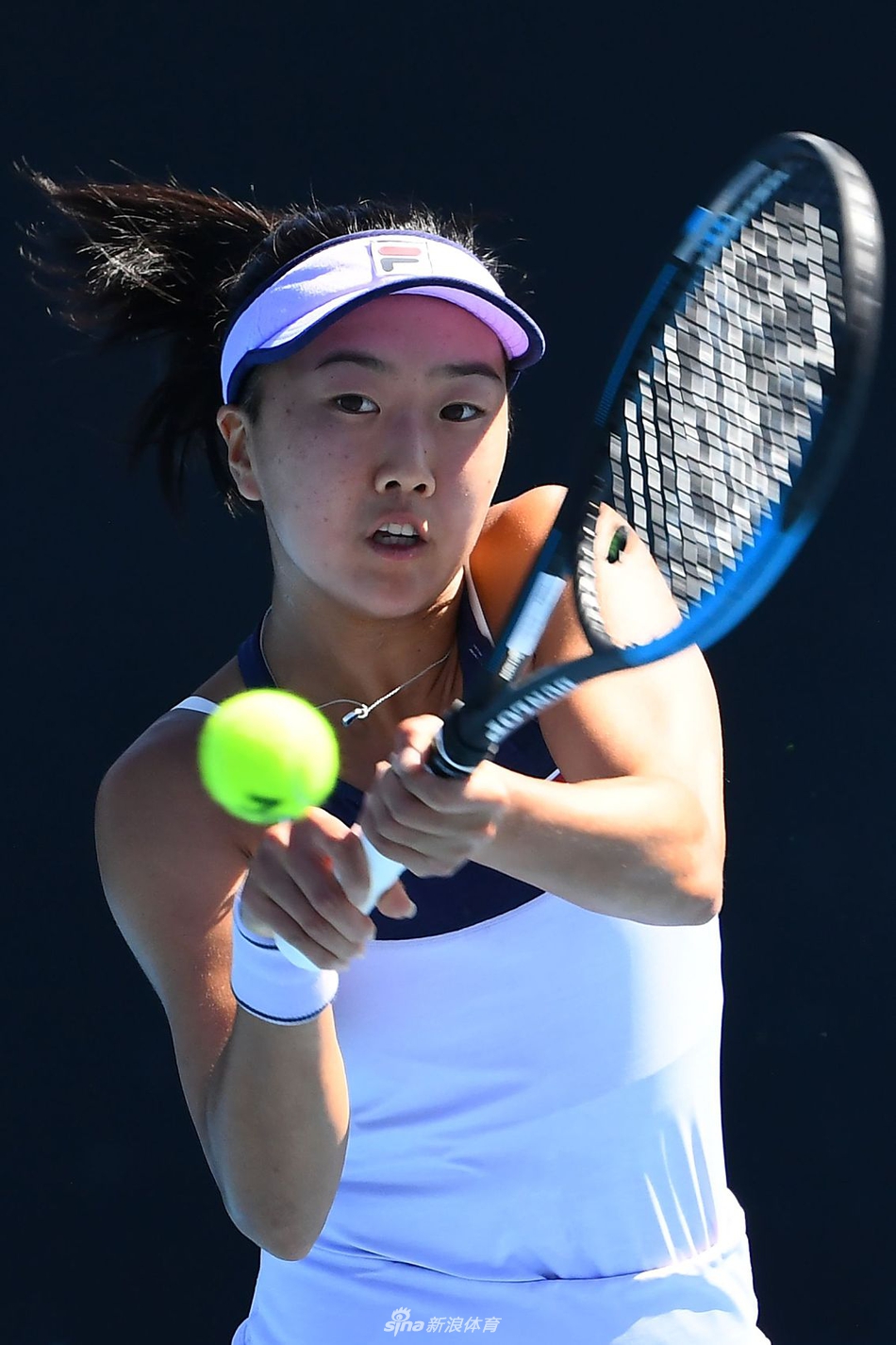 岛红狮注入 岛红狮注入