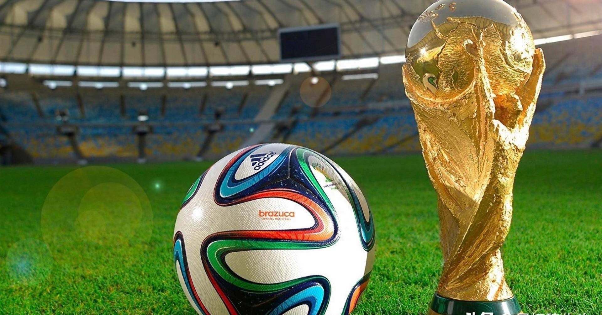 不到的惊喜 不到的惊喜